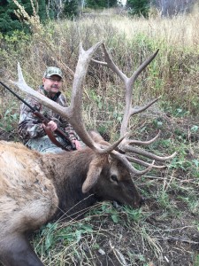 Idaho Elk 1505