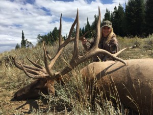 Idaho Elk_1236